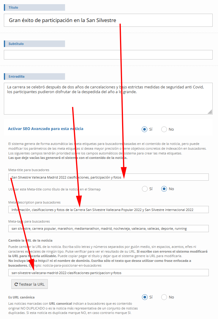 Aplicación SEO Avanzado en folioepress ejemplo