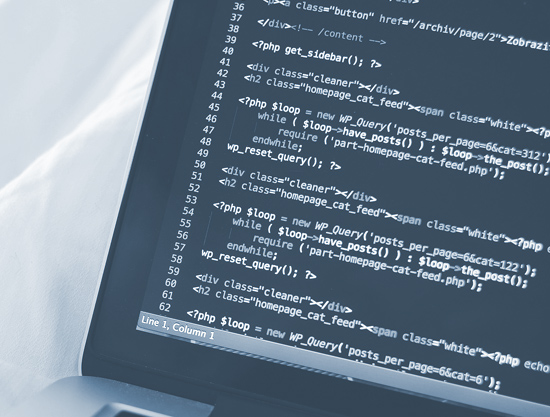 CMS especializado para periódicos digitales